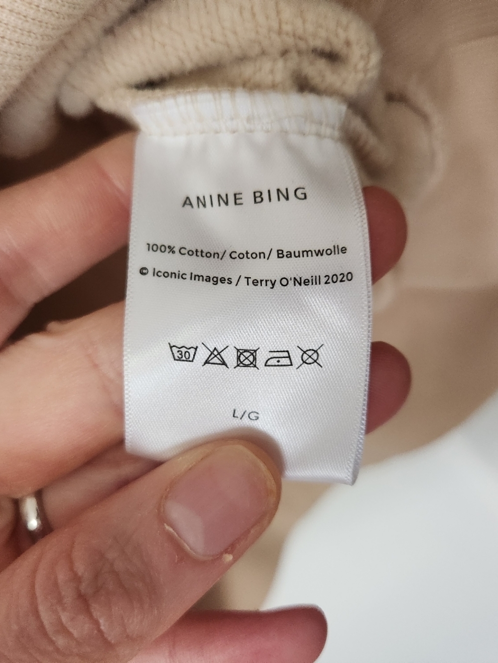 Anine Bing Beige Graphic Tiger Sweatshirt - Picture 5 of 9
